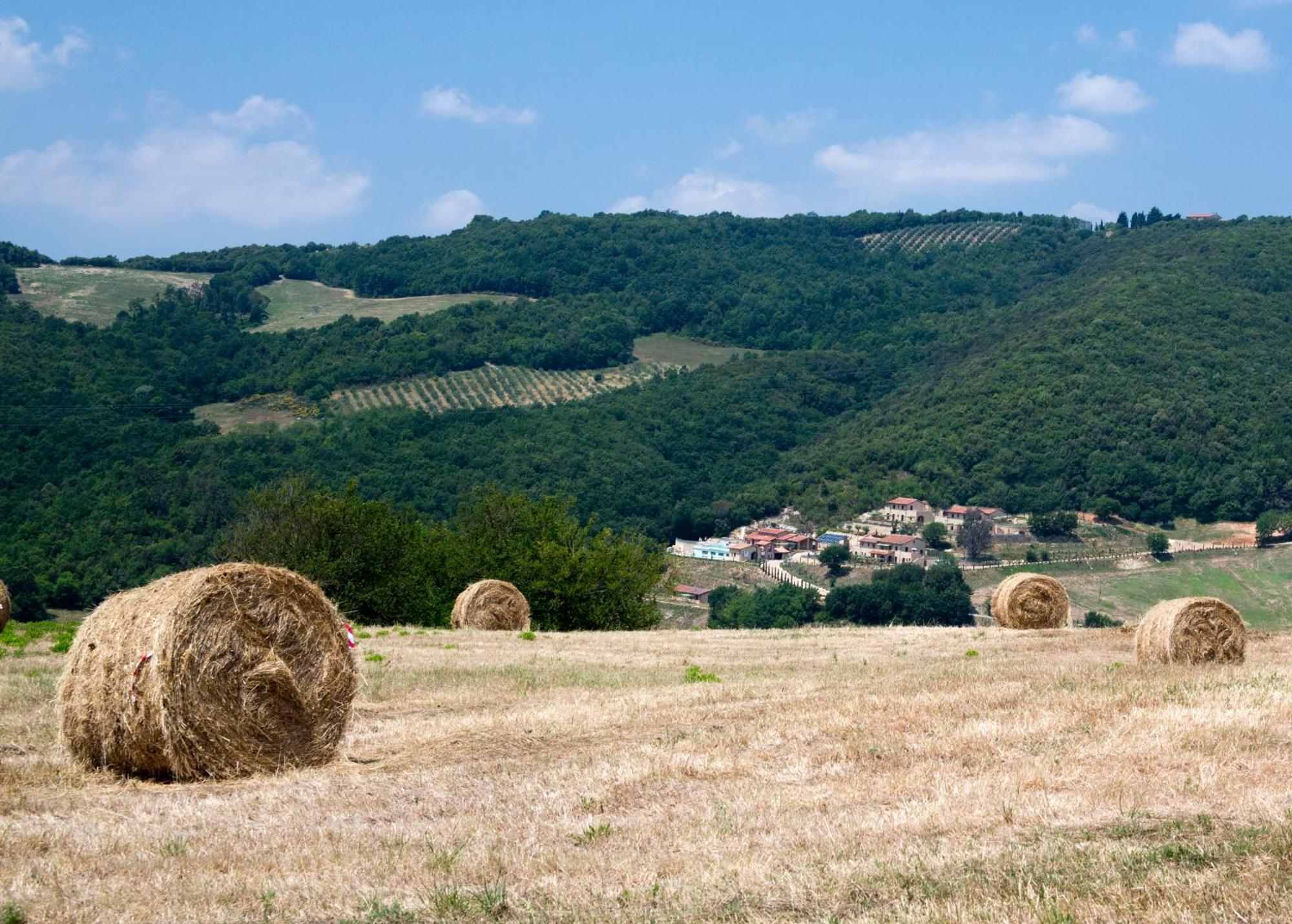 Fonte Alla Lepre Riparbella